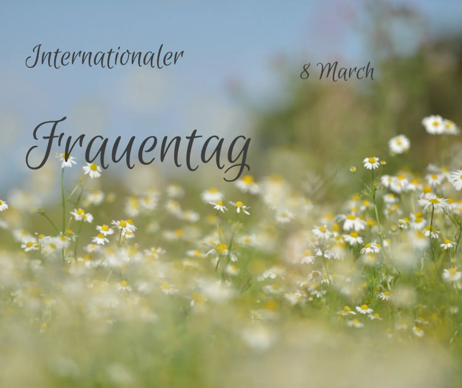 Internationaler-1