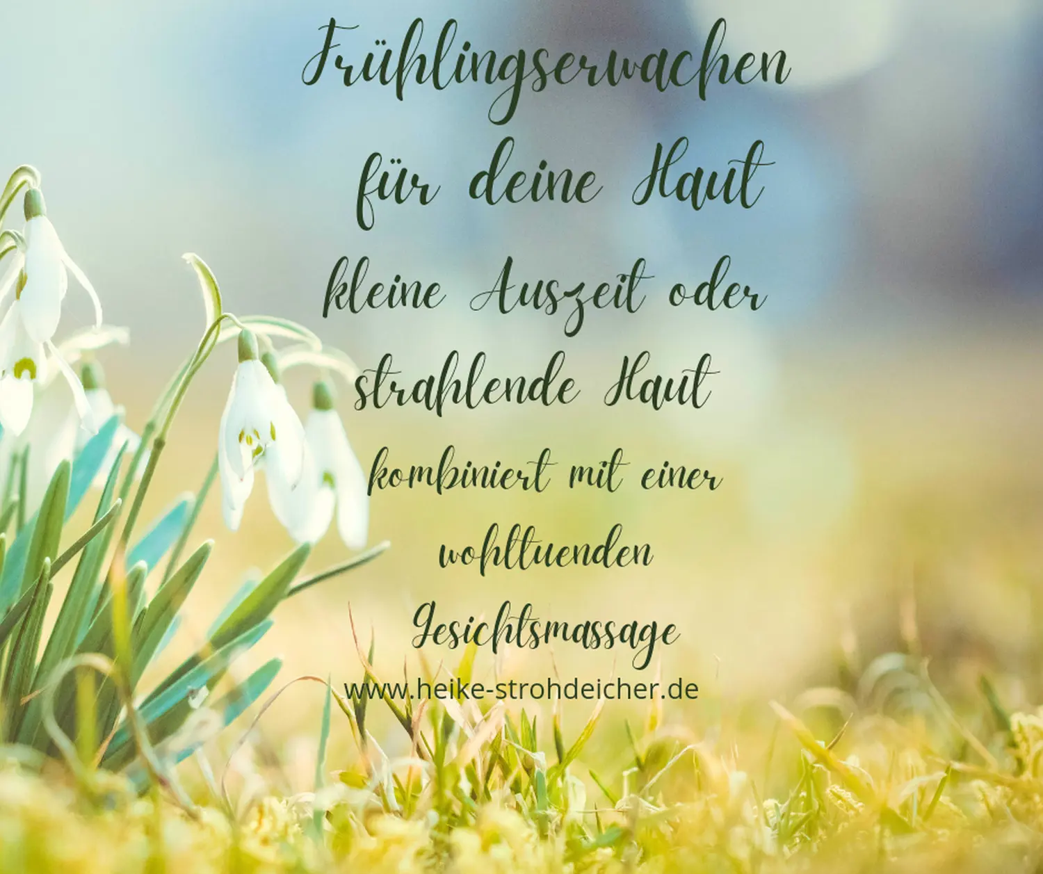Aktuelles Strohdeicher