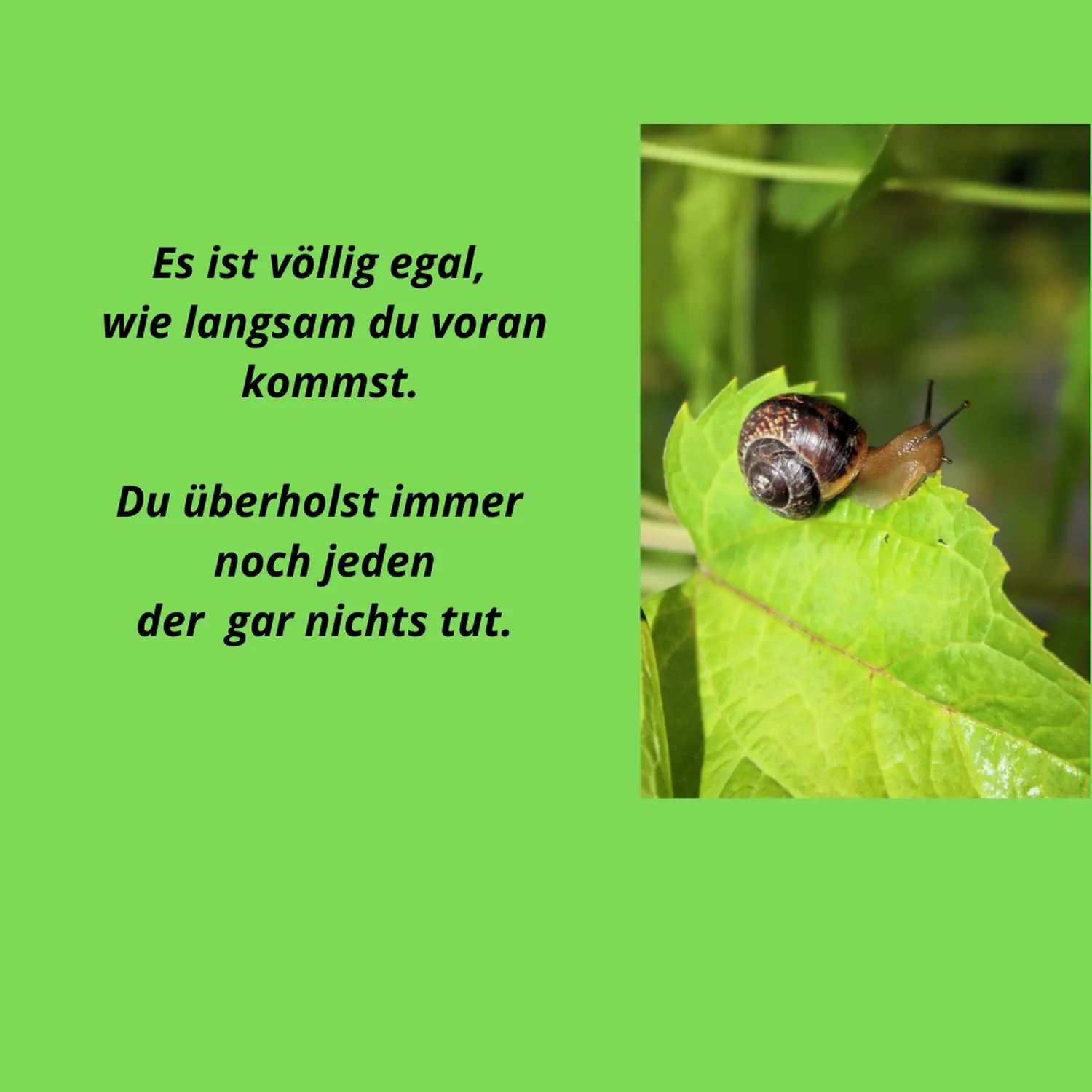 Zitat Strohdeicher
